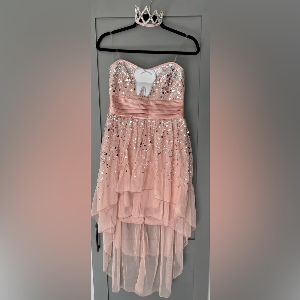 ‼️SOLD‼️DIY Tooth Fairy Costume